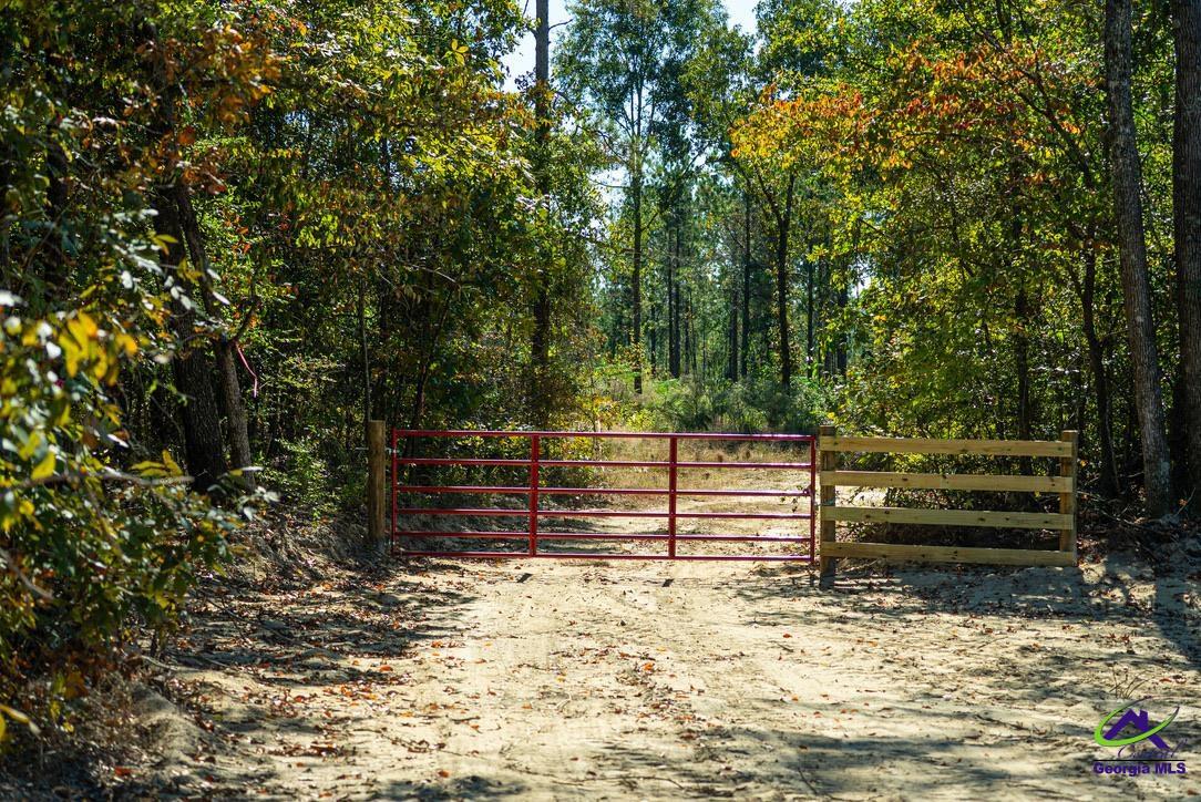 Ohp Dominy Road Toomsboro, GA 31090 - Photo 22 of 24
