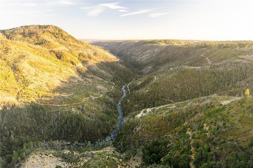 a view of a large tree with mountains in the background