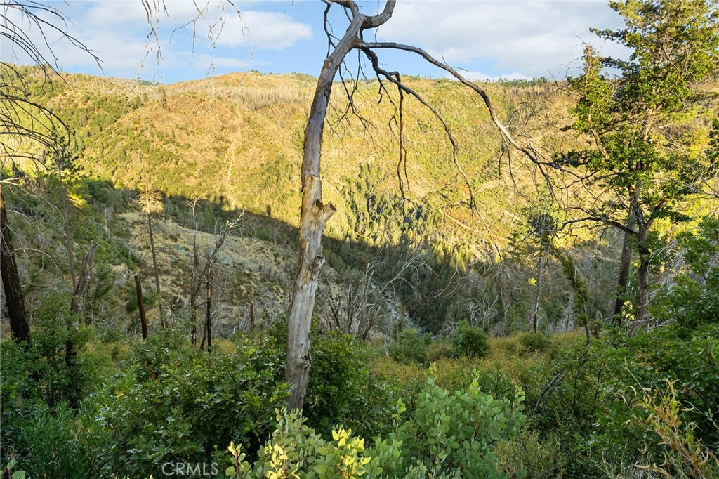 0 Coutolenc Road Magalia, CA 95954 - Photo 14 of 28