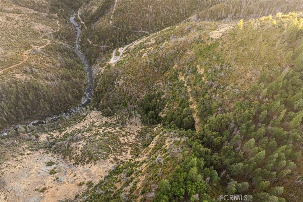 0 Coutolenc Road Magalia, CA 95954 - Photo 22 of 28 a view of a yard with a tree