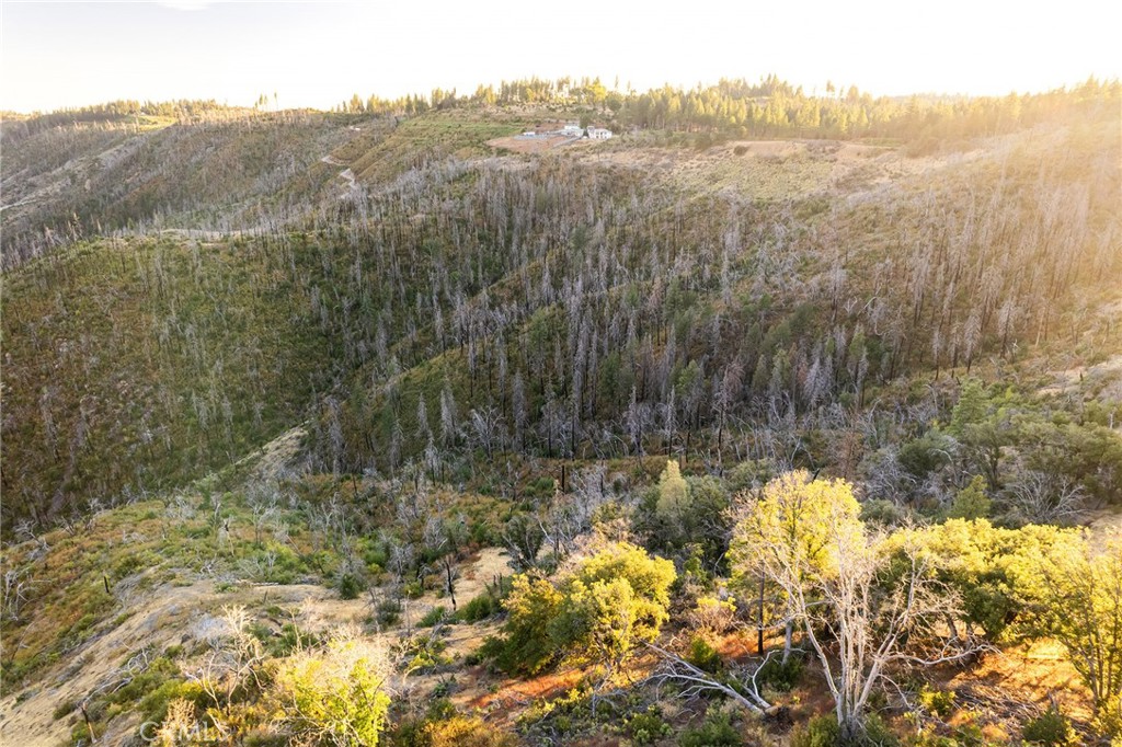 0 Coutolenc Road Magalia, CA 95954 - Photo 24 of 28 a view of a yard with a tree