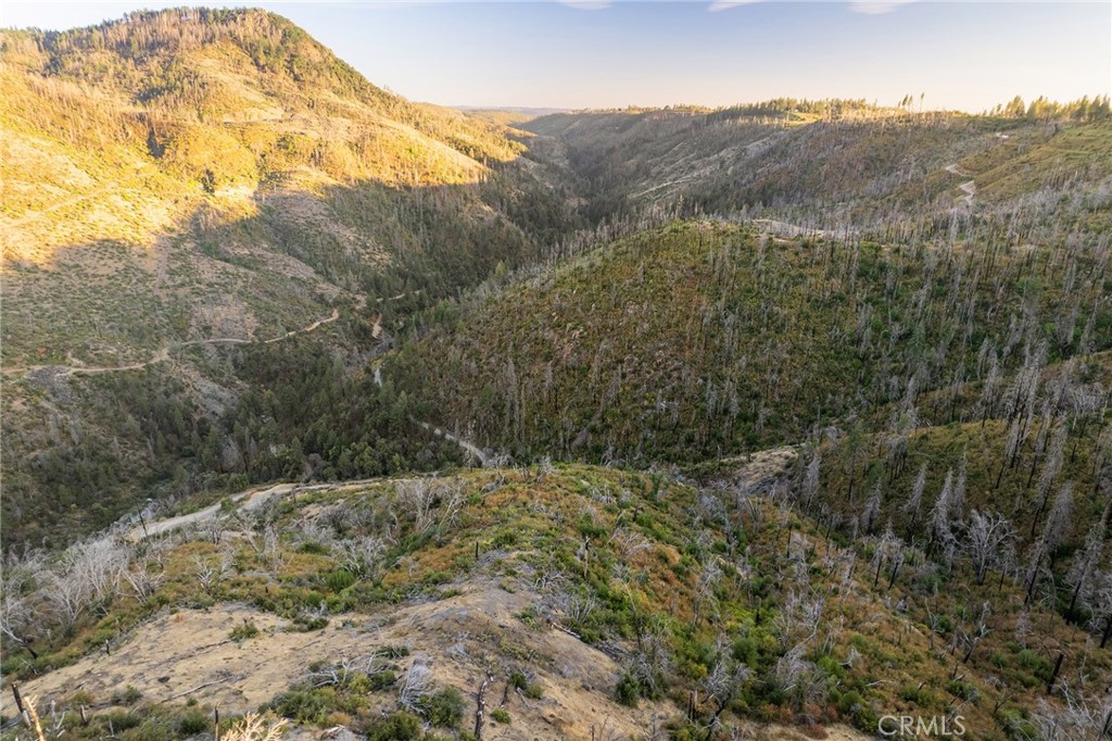 0 Coutolenc Road Magalia, CA 95954 - Photo 25 of 28 a view of a dry yard