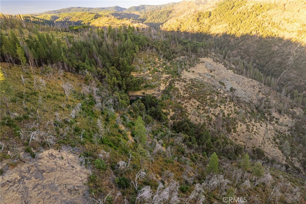 0 Coutolenc Road Magalia, CA 95954 - Photo 27 of 28 a view of a forest with mountains in the background