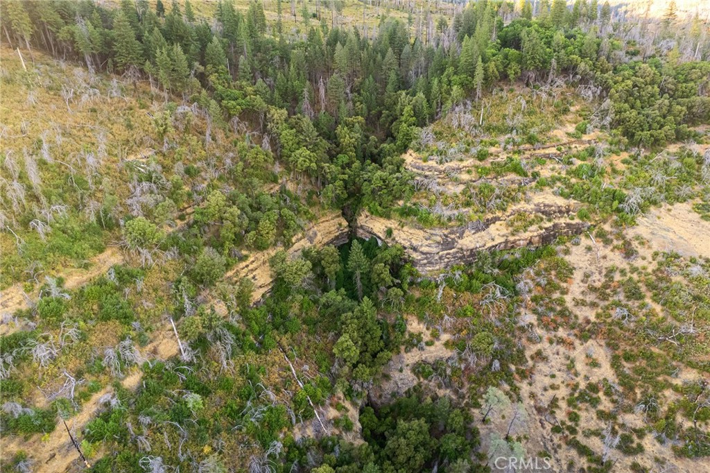 0 Coutolenc Road Magalia, CA 95954 - Photo 28 of 28 a view of a forest with a tree