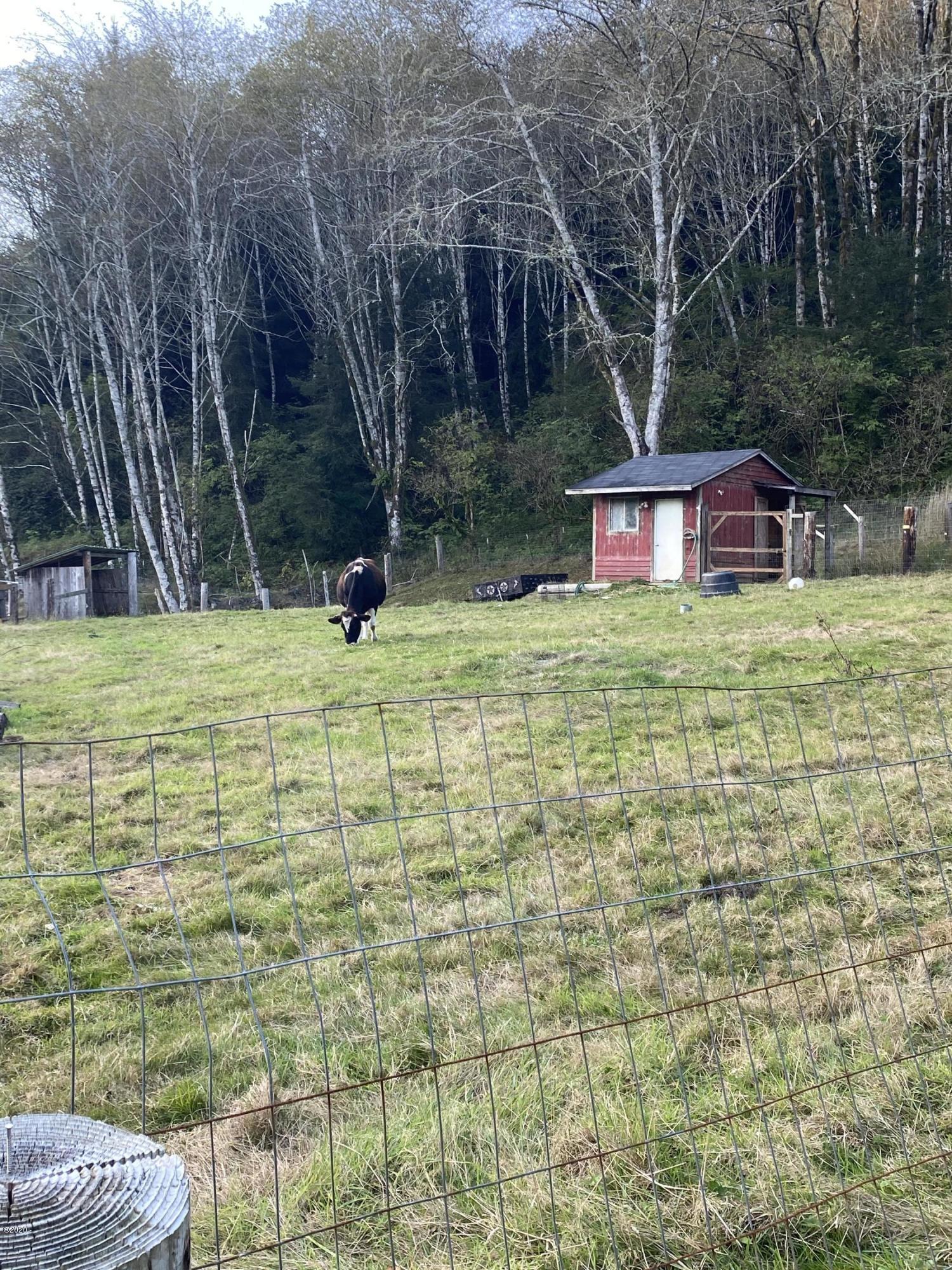 9490 Slab Creek Road Neskowin, OR 97149 - Photo 15 of 22 Pasture 1