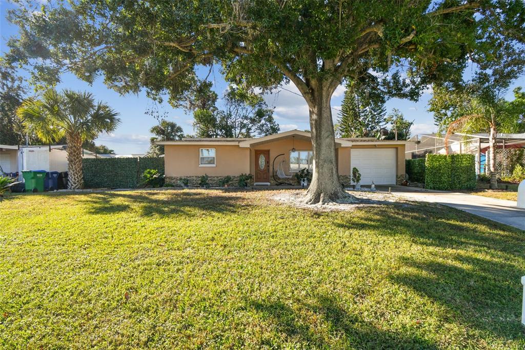 226 Maple Avenue Palm Harbor, FL 34684 - Photo 4 of 79 a swimming pool with outdoor seating and yard