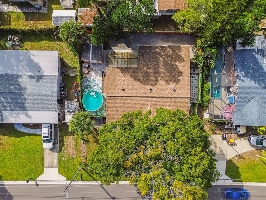 226 Maple Avenue Palm Harbor, FL 34684 - Photo 69 of 79 a backyard of a house with lots of green space