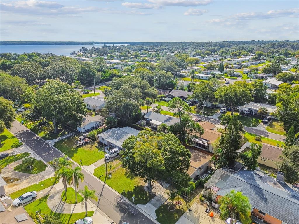 226 Maple Avenue Palm Harbor, FL 34684 - Photo 70 of 79