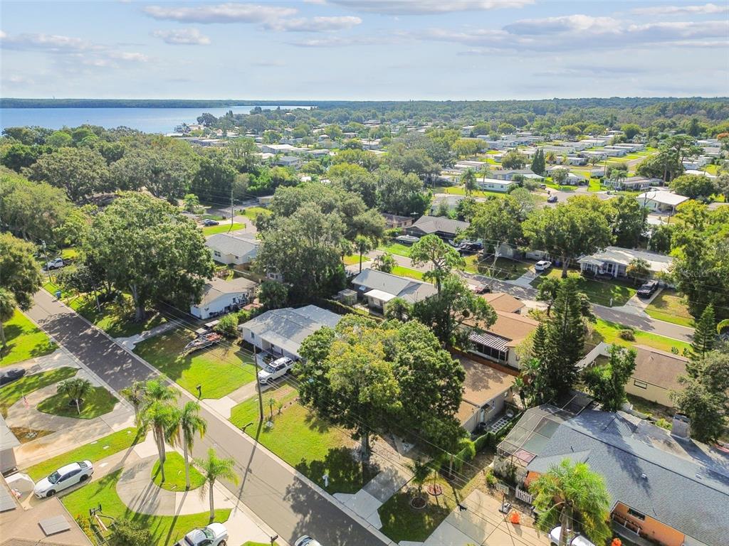 226 Maple Avenue Palm Harbor, FL 34684 - Photo 75 of 79