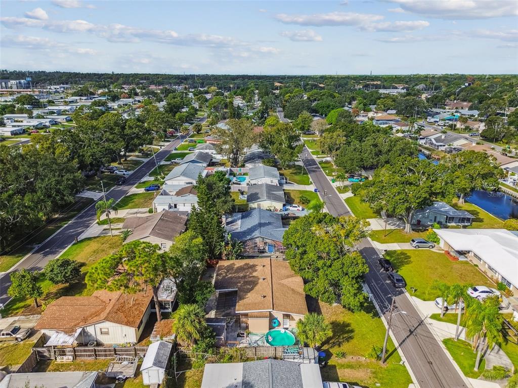 226 Maple Avenue Palm Harbor, FL 34684 - Photo 76 of 79