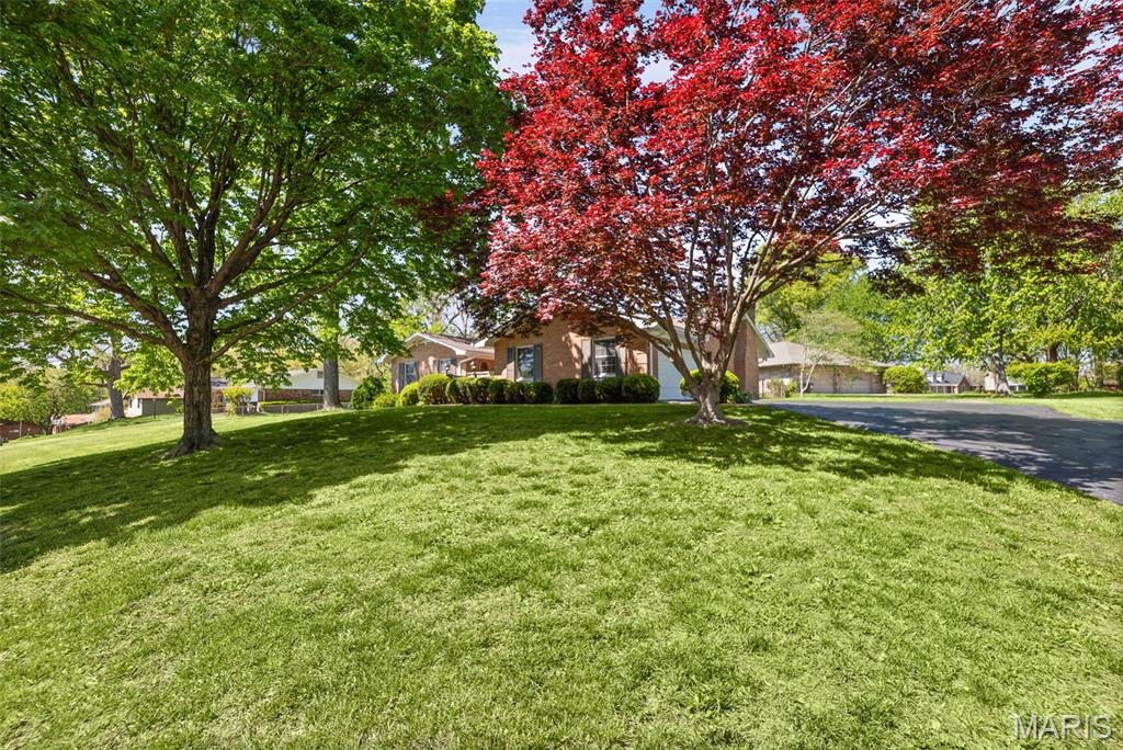 6209 Heritage Station Road Belleville, IL 62223 - Photo 5 of 50