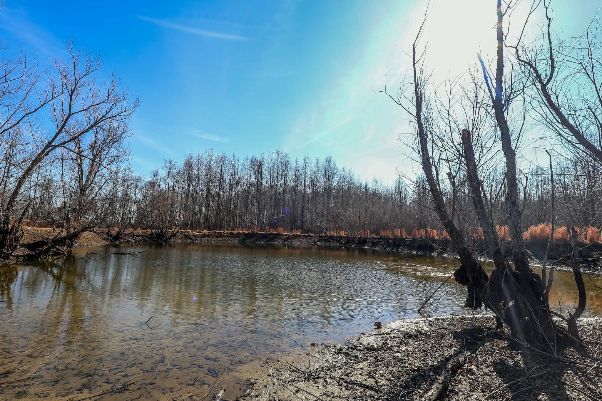 8712 Gragg Road Millington, TN 38053 - Photo 35 of 36 Water view