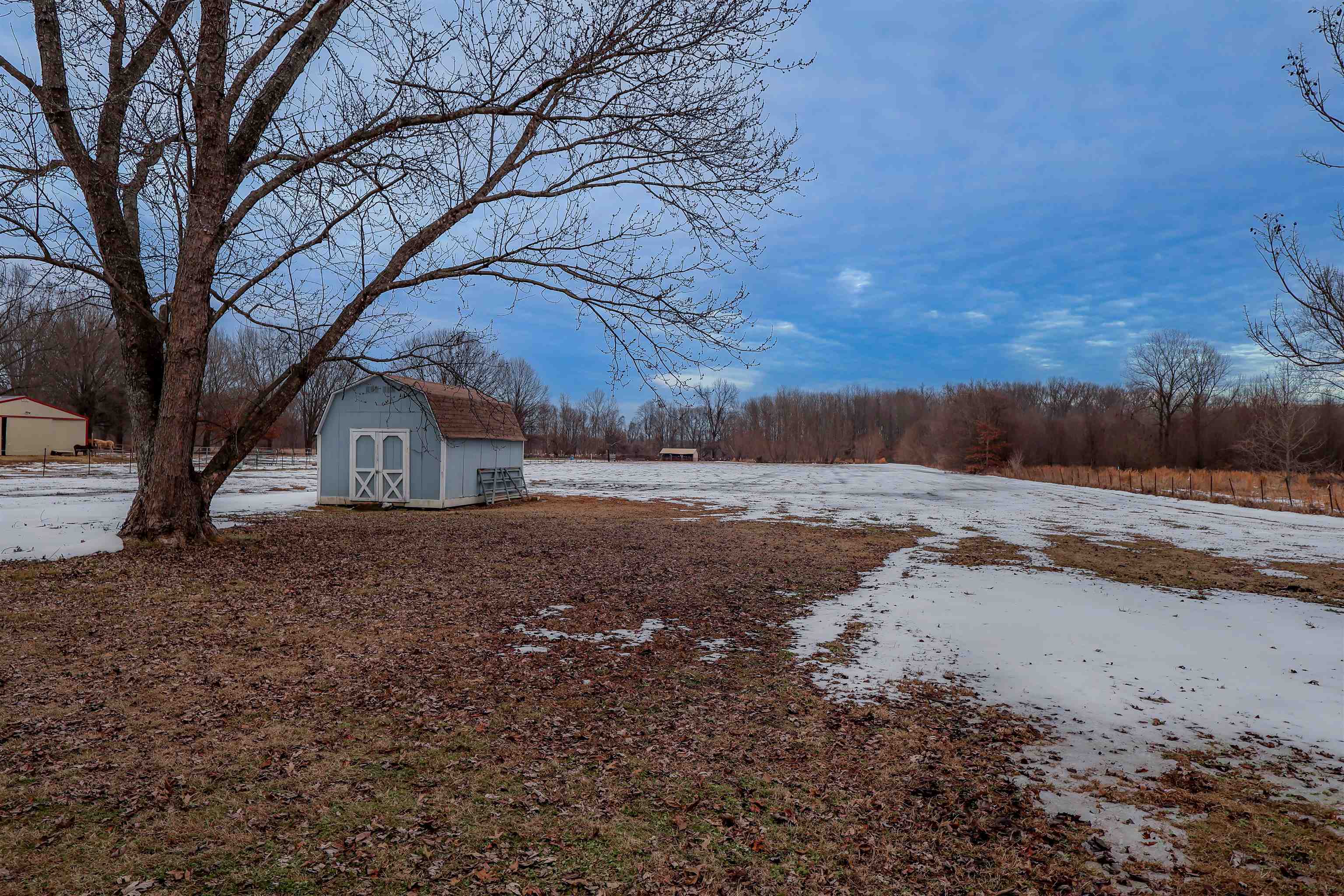 8712 Gragg Road Millington, TN 38053 - Photo 4 of 36 Yard layered in snow featuring a shed