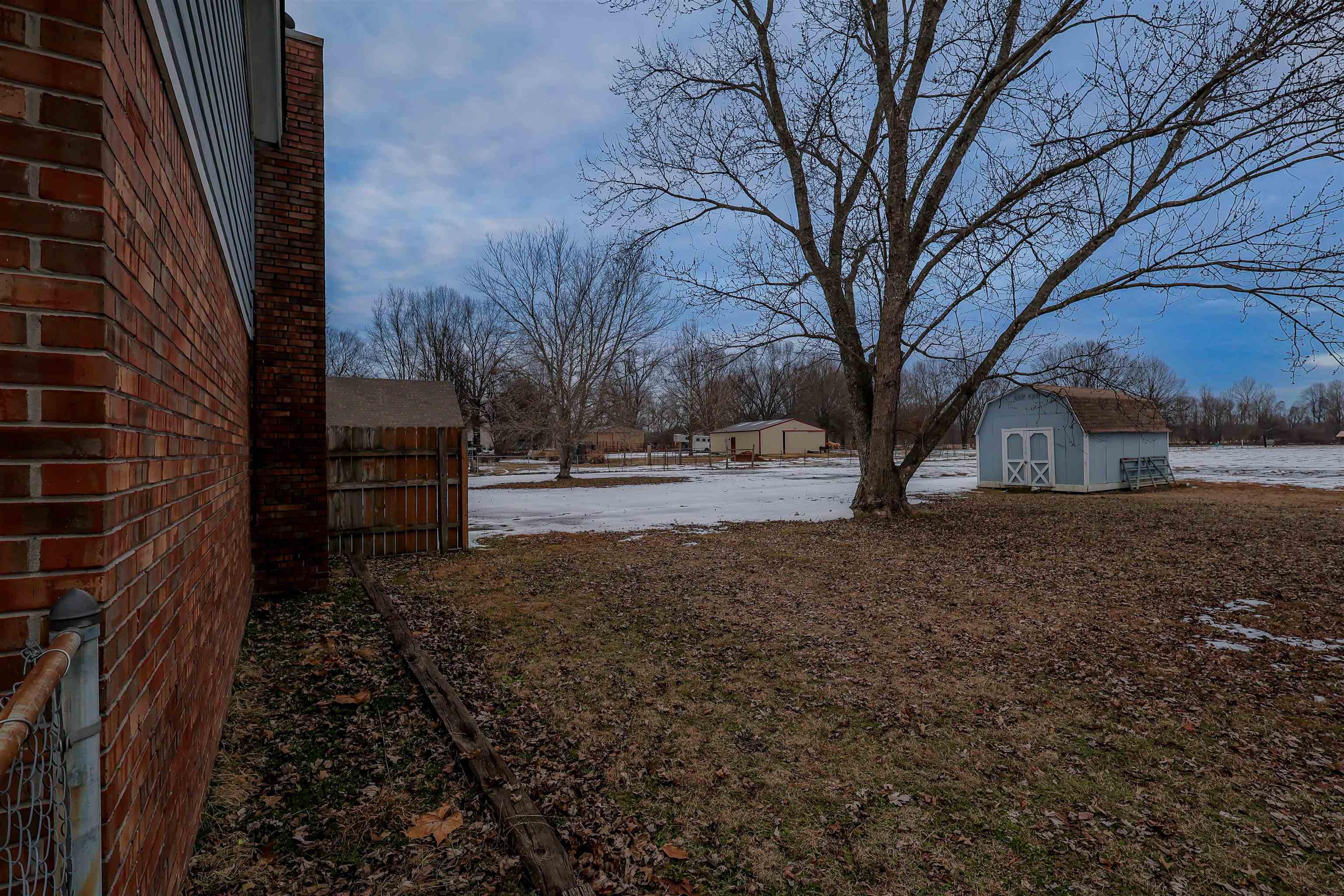 View of yard featuring a shed