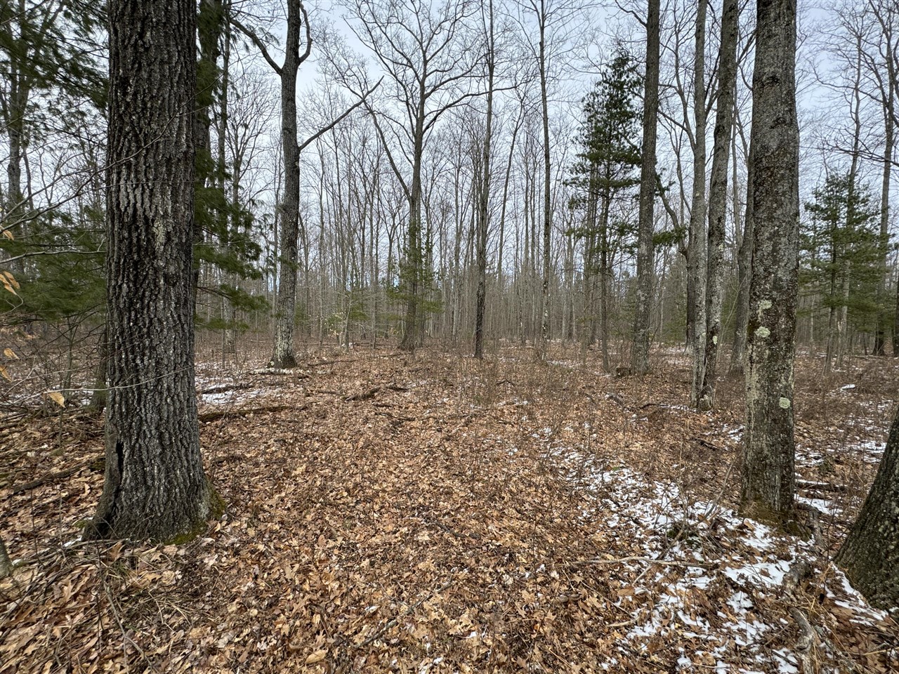 3010 Mt Tom Road Comins, MI 48619 - Photo 84 of 97