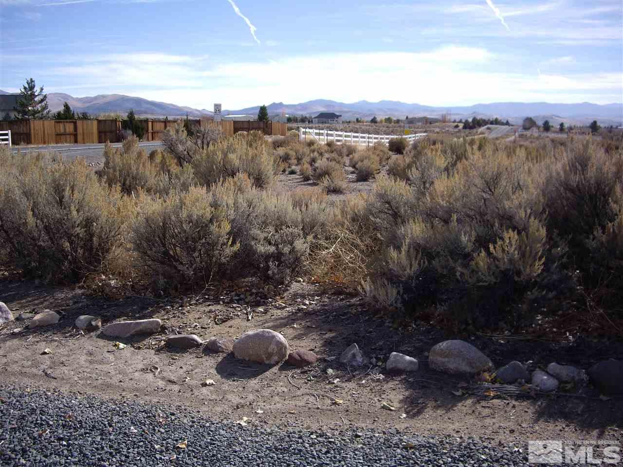 1793 Fish Springs Road Gardnerville, NV 89410 - Photo 11 of 25 Photo 11