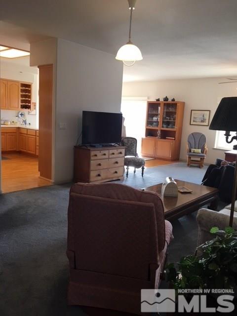 1793 Fish Springs Road Gardnerville, NV 89410 - Photo 22 of 25 Photo 22