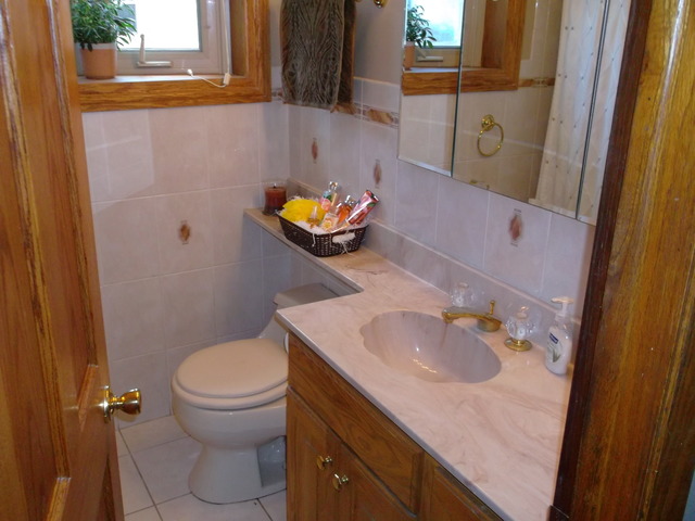 10854 Major Avenue Chicago Ridge, IL 60415 - Photo 11 of 24 a bathroom with a sink and a mirror