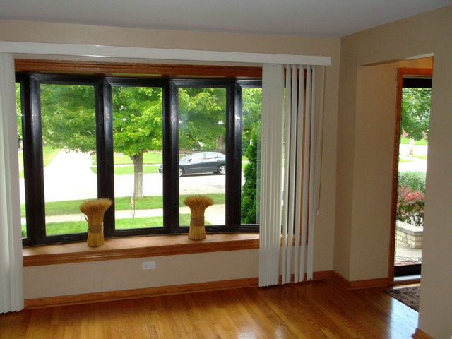 10854 Major Avenue Chicago Ridge, IL 60415 - Photo 4 of 24 a view of empty room with wooden floor and a window