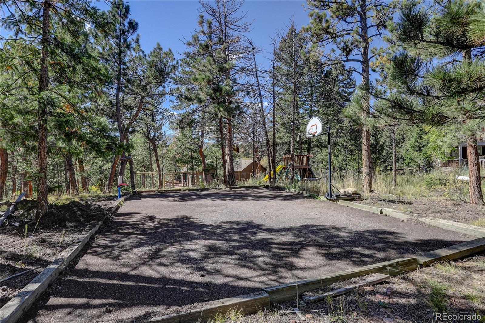 9758 Fallen Rock Road Conifer, CO 80433 - Photo 34 of 42 a view of a backyard with large trees