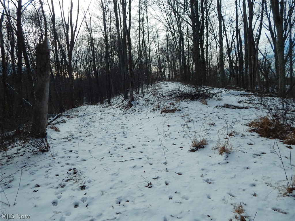 0 Hazelgreen Road Smithville, WV 26178 - Photo 15 of 23