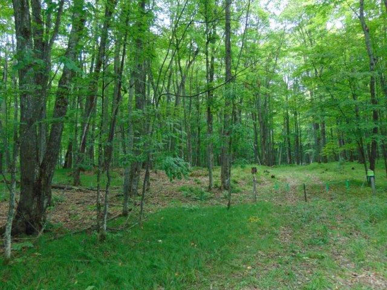 On Red Fox Road, Unit LOT 18 Presque Isle, WI 54557 - Photo 5 of 8 Gallery Image 5