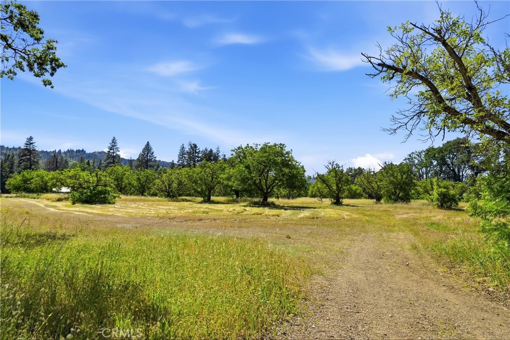 22550 Shady Grove Road Middletown, CA 95461 - Photo 48 of 68