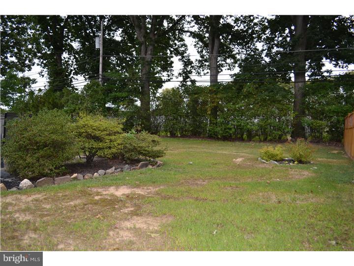 123 Morton Road Springfield, PA 19064 - Photo 3 of 20 Back Yard
