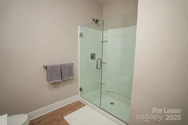 a bathroom with a shower and toilet
