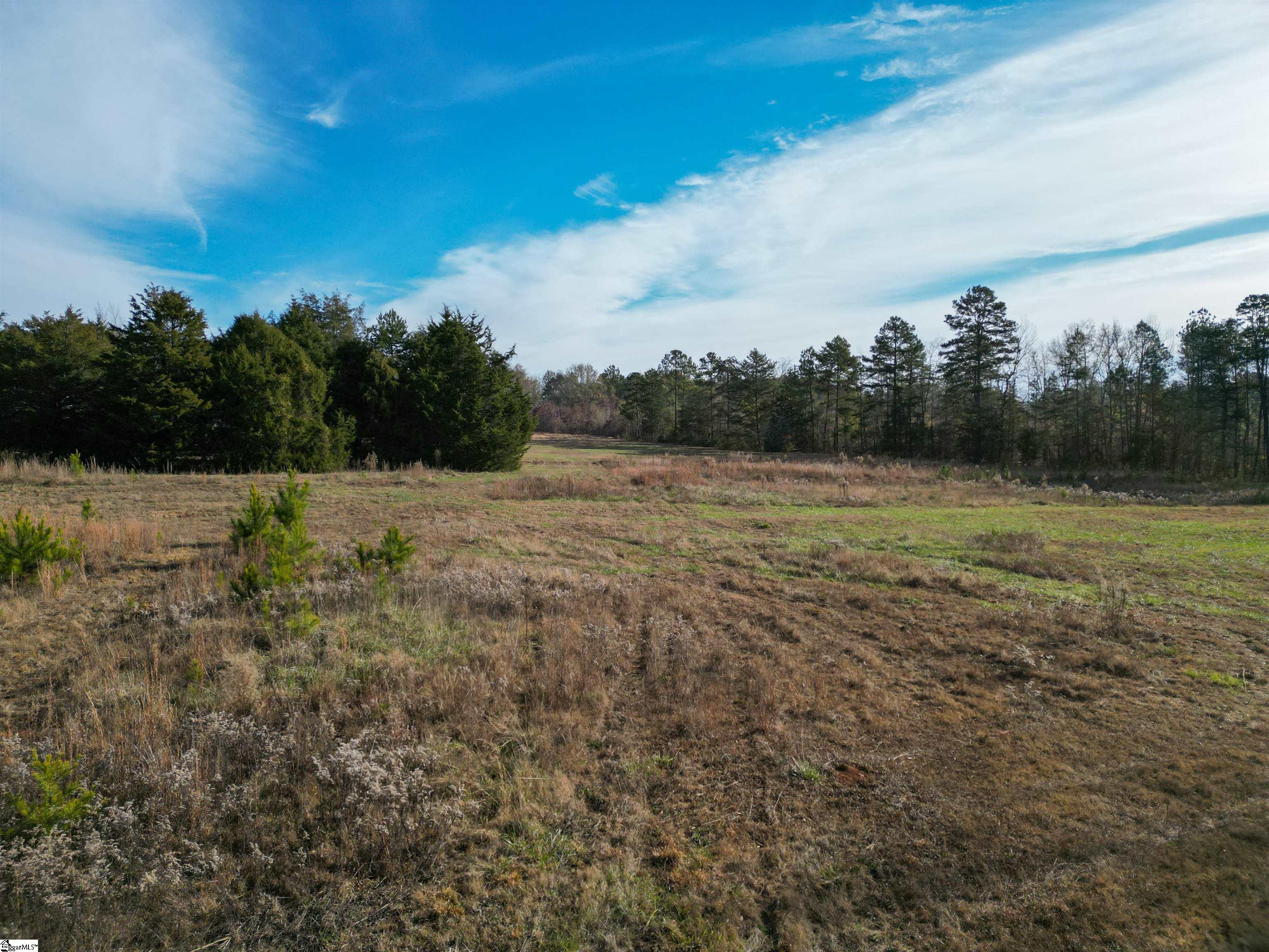 1395 Meansville Road Union, SC 29379 - Photo 23 of 34