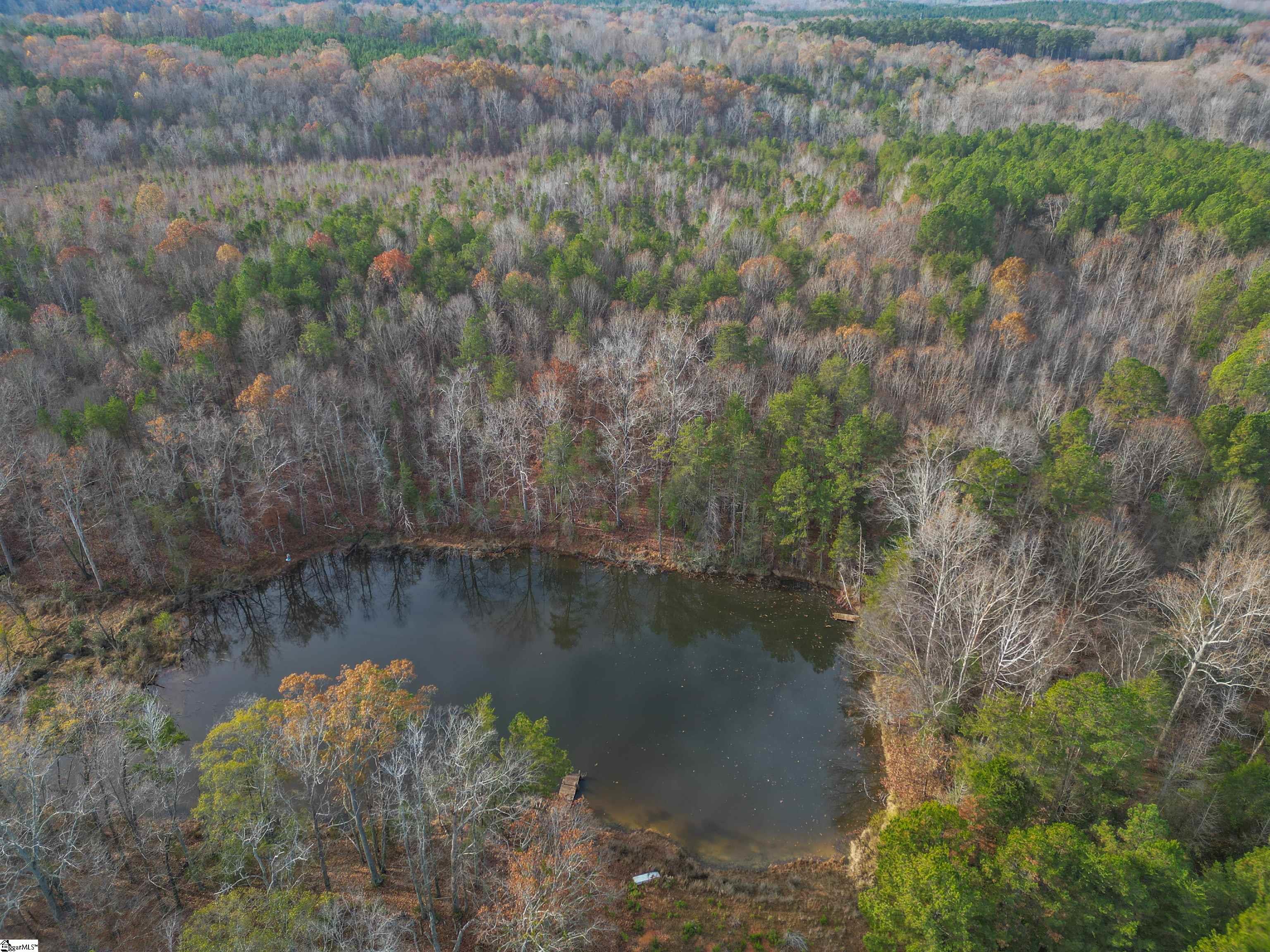 1395 Meansville Road Union, SC 29379 - Photo 4 of 34