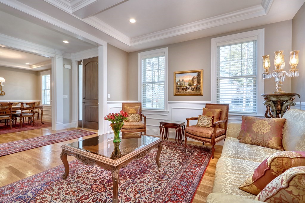52 Thorpe Road Needham, MA 02494 - Photo 5 of 39 a living room with furniture and a rug