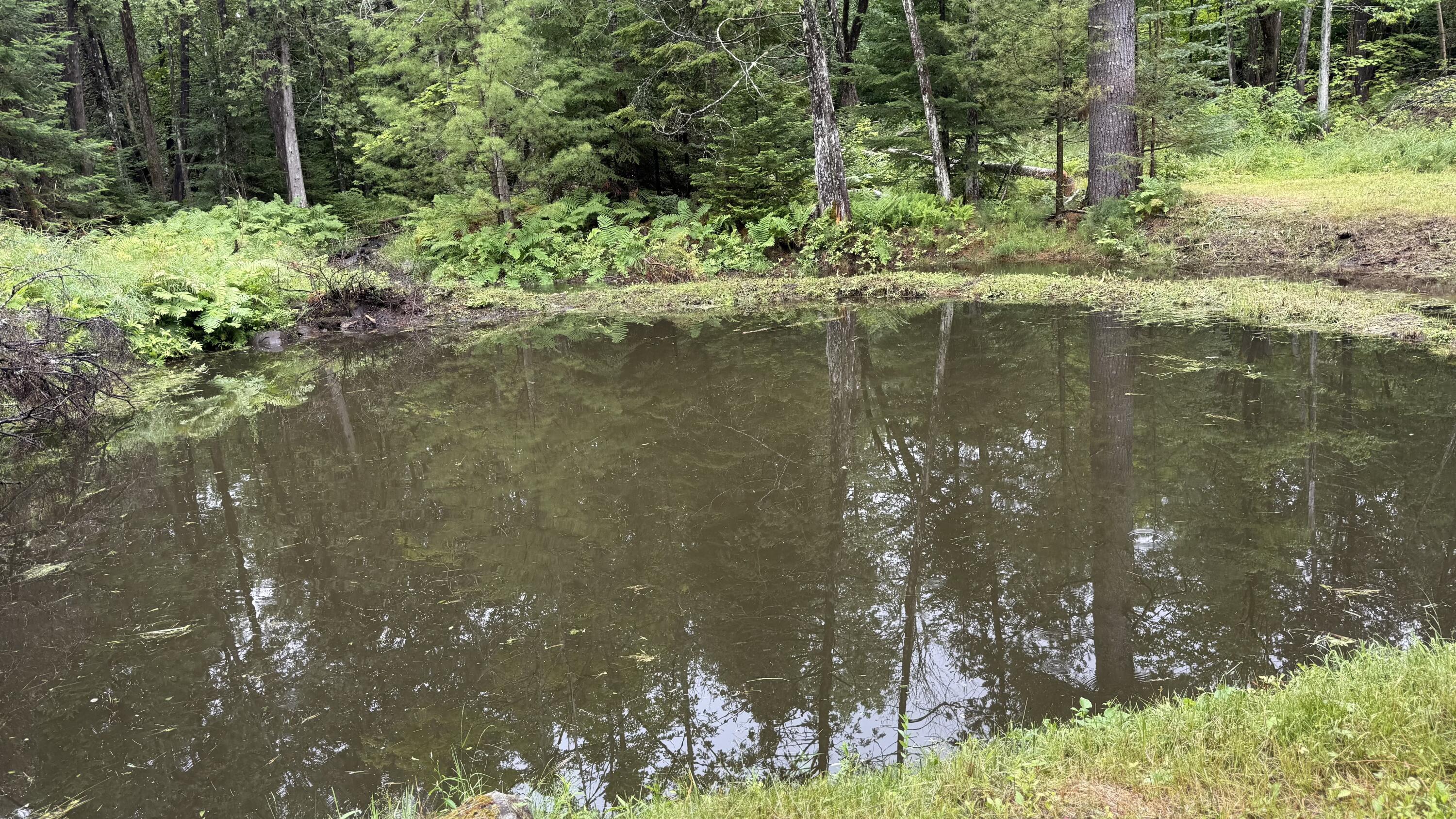 125 Valley Avenue Road Dexter, ME 04930 - Photo 41 of 50 38