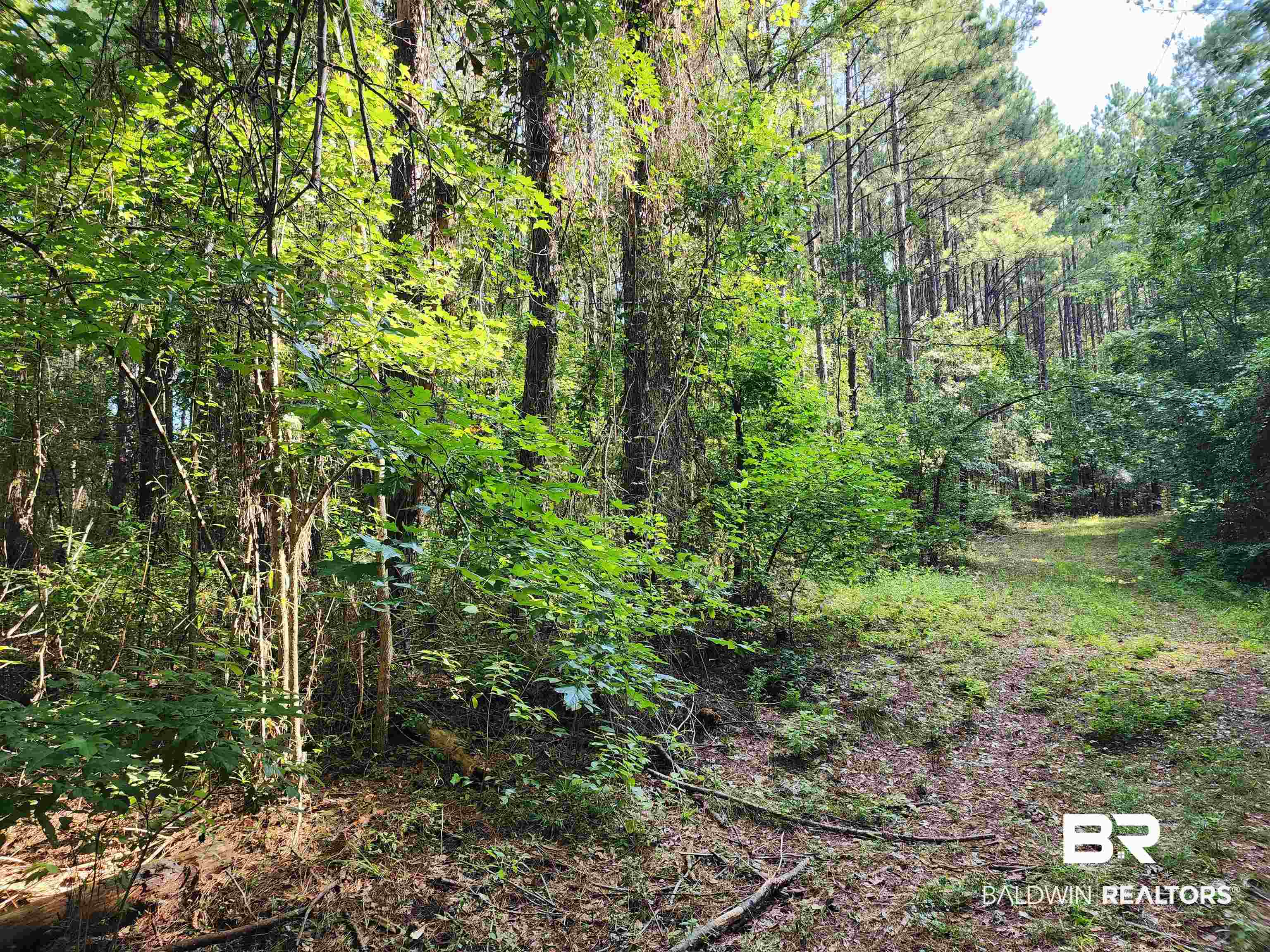 0 Lowery Road Atmore, AL 36502 - Photo 10 of 28