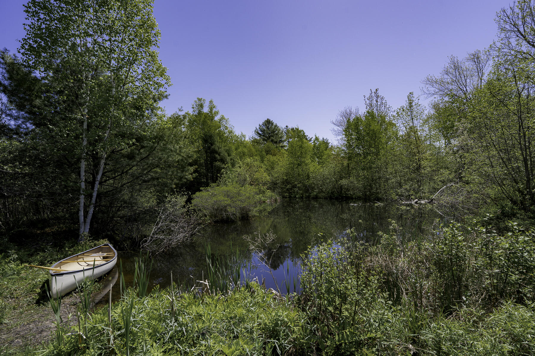 2208 Friendship Road Waldoboro, ME 04572 - Photo 59 of 76 Pond