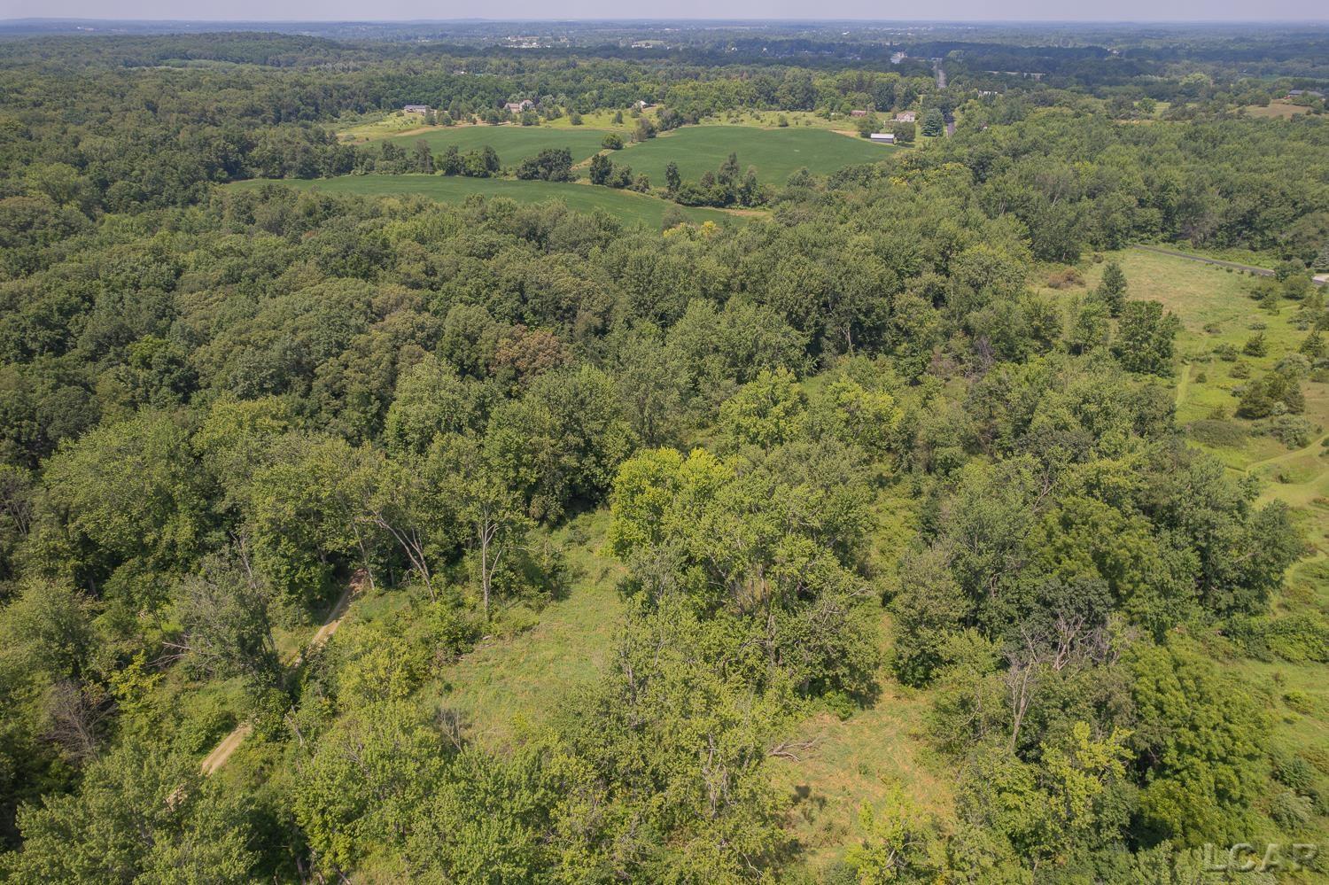 15816 Sanford Road Addison, MI 49220 - Photo 55 of 63 50184078-4d0e21d5-67d5-4b34-8320-e9aa9e8defc9.JPG