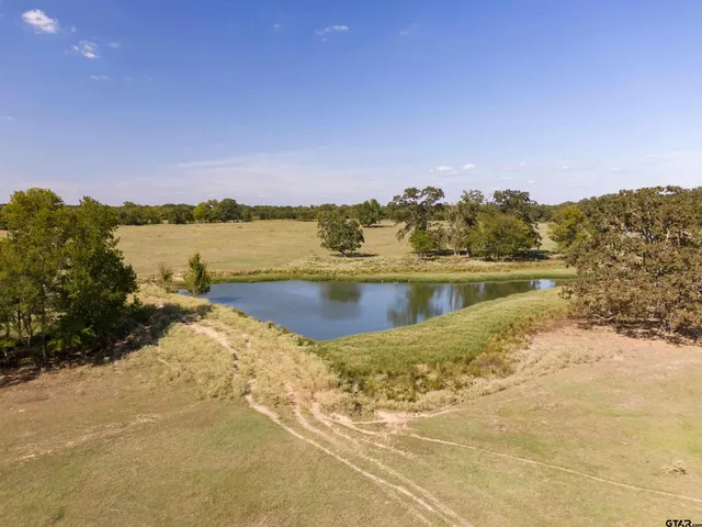 a view of an ocean and beach