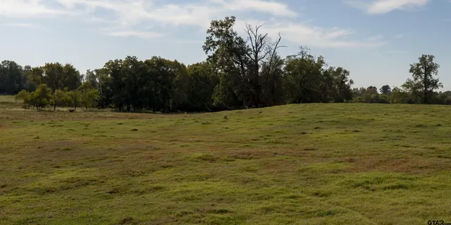 a view of a field of grass and trees