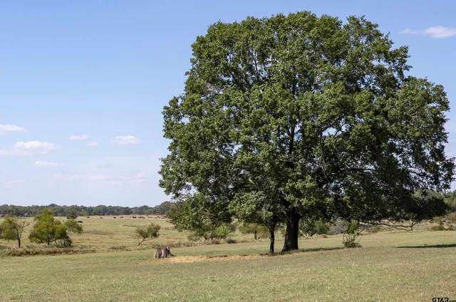a view of an ocean and beach
