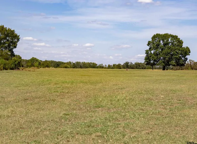a view of a lake with a mountain in the background