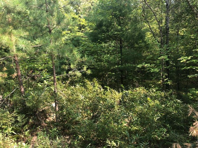 Lot 50 Mann Road West Newfield, ME 04095 - Photo 2 of 2 1.12 Acres