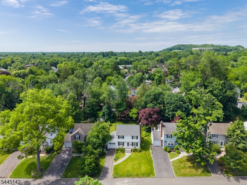 34 Colfax Road Springfield, NJ 07081 - Photo 7 of 26