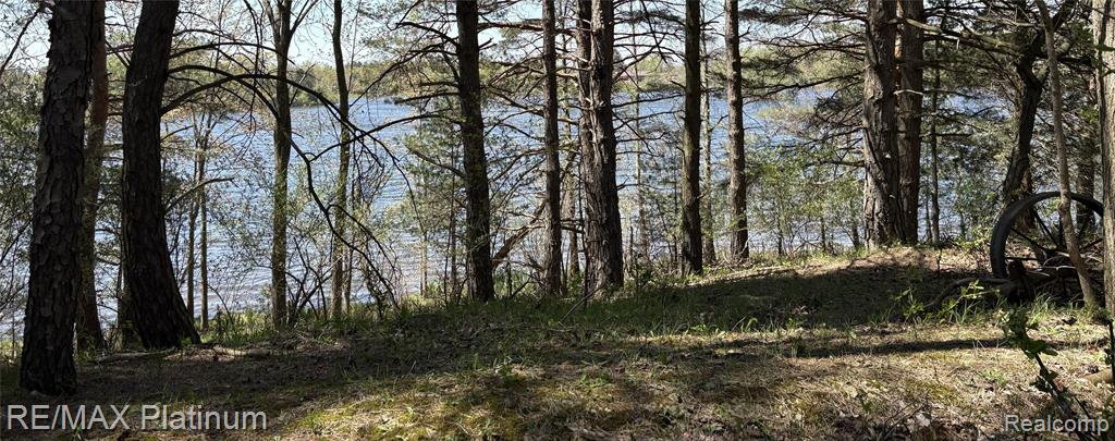 Parcel 3 Pineway Trail Howell, MI 48855 - Photo 3 of 15