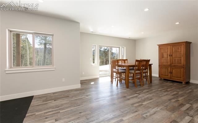 548 Paradiso Road Divide, CO 80814 - Photo 24 of 37 Lower Level Family Room