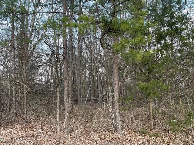 $100,000 | 0 North Piedmont Highway, Piedmont, SC 29673