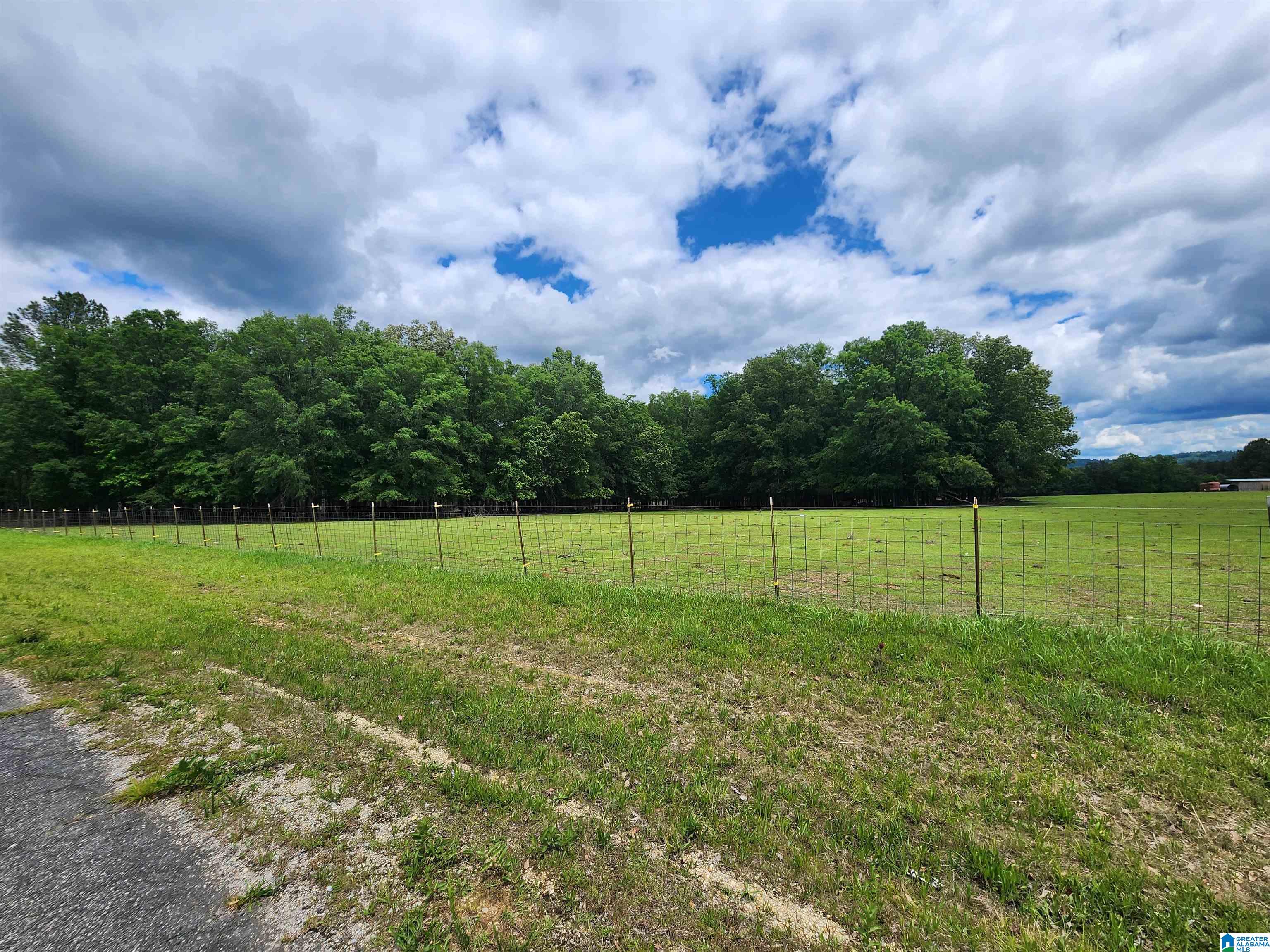 305 Stolle Farm Road, Unit METES AND BOUNDS Ashville, AL 35953 - Photo 4 of 7