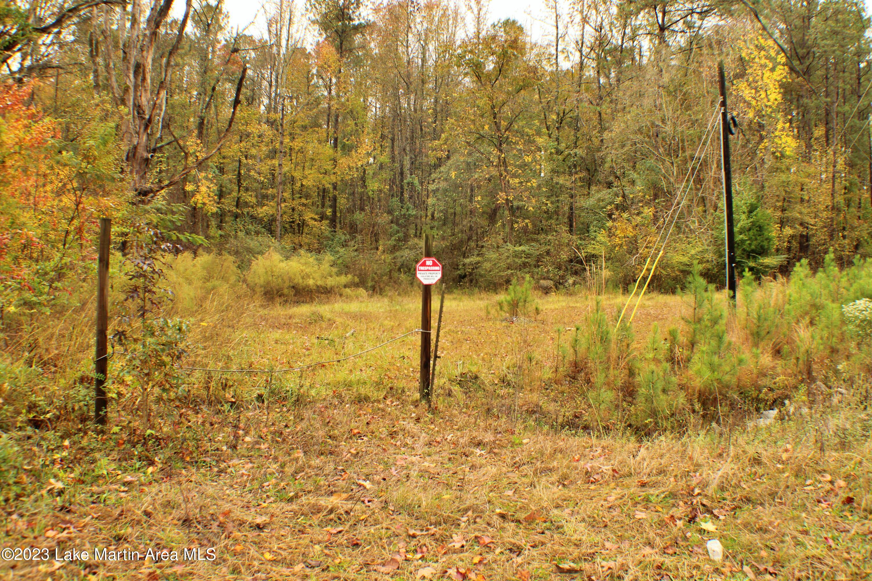 2048 Mt Hebron Road Eclectic, AL 36024 - Photo 1 of 1 Gallery Image 1