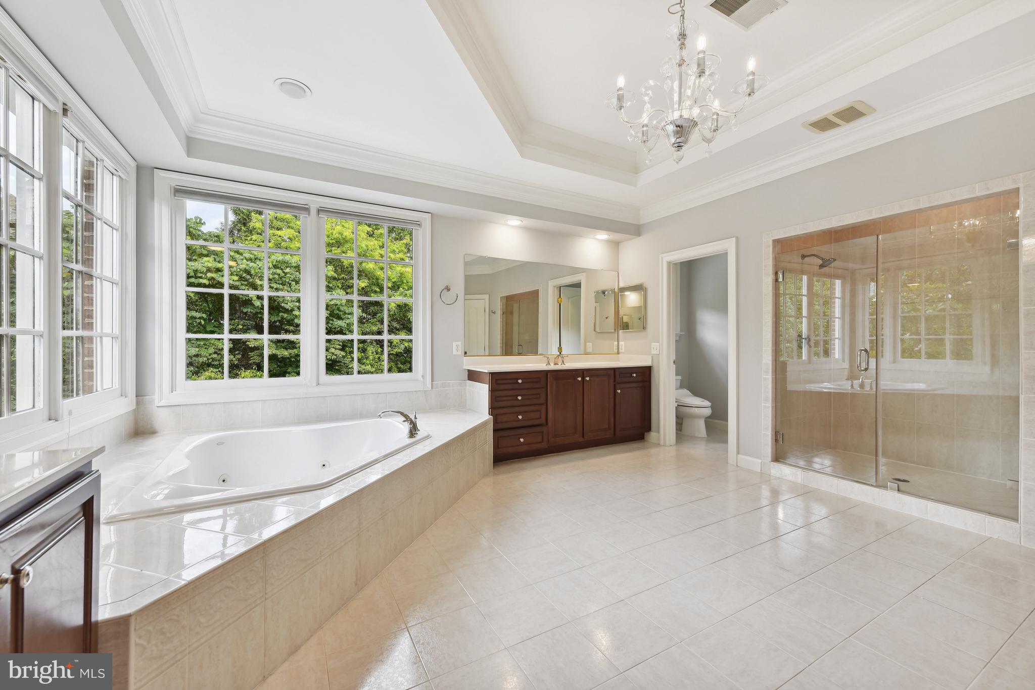 8894 Windy Ridge Way McLean, VA 22102 - Photo 21 of 31 Owner's Bath