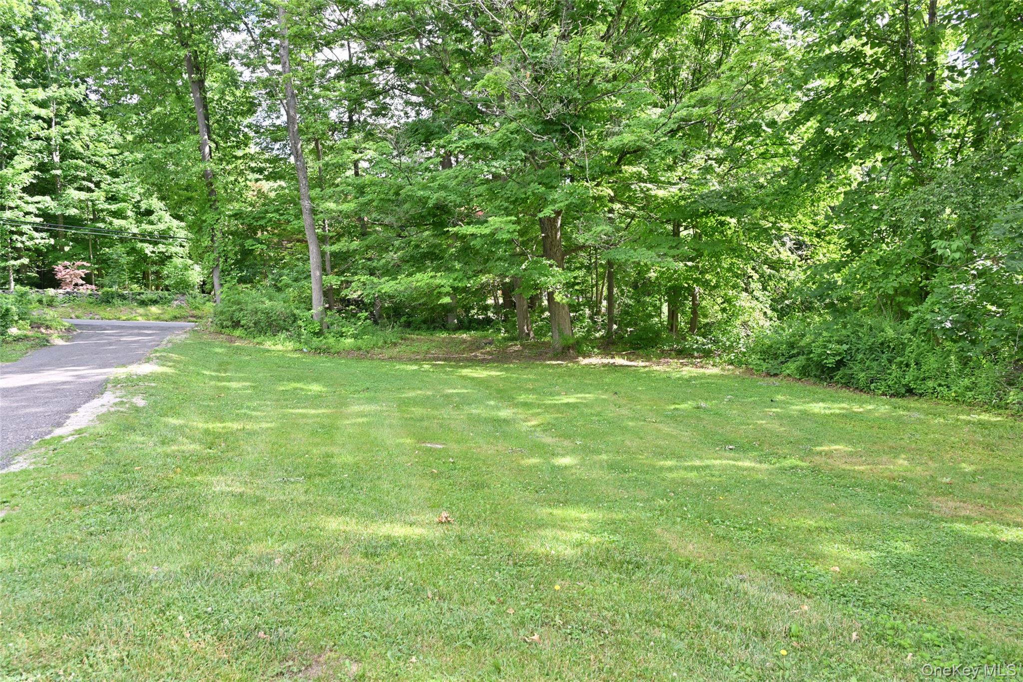 136 Foggintown Road Brewster, NY 10509 - Photo 40 of 50 a view of field with trees in the background