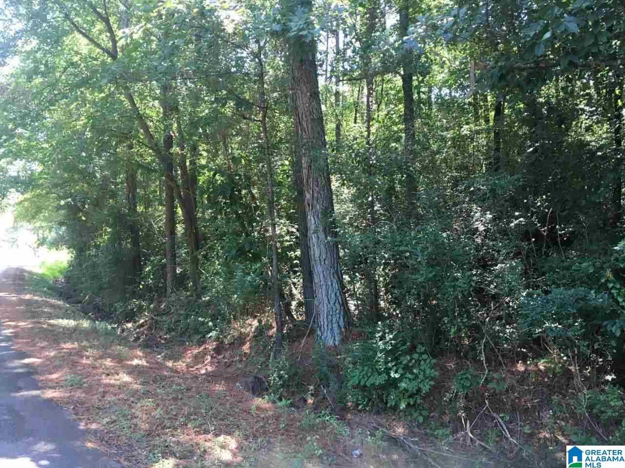 Holly Grove Road, Unit 1 Jasper, AL 35501 - Photo 3 of 3